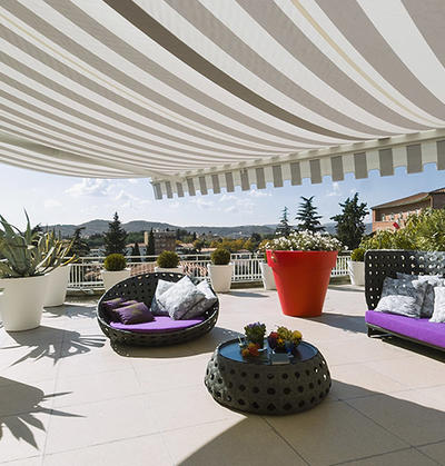 © shutterstock / adpePhoto